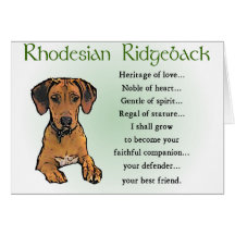 Presentes Ridgeback da Rodésia