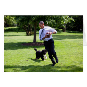 Cartão Presidente Barack Obama e Bo