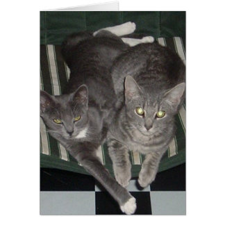 Cartão Preto, branco & cinza