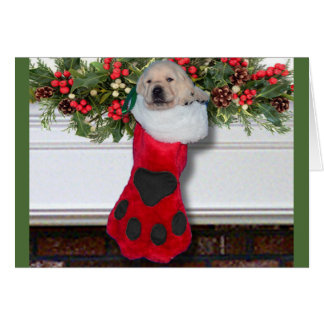 Cartão Preto da semana 3 da gratitude