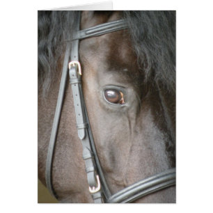 Cartão preto do cavalo