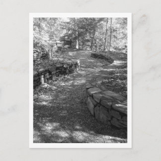 Cartão preto e branco