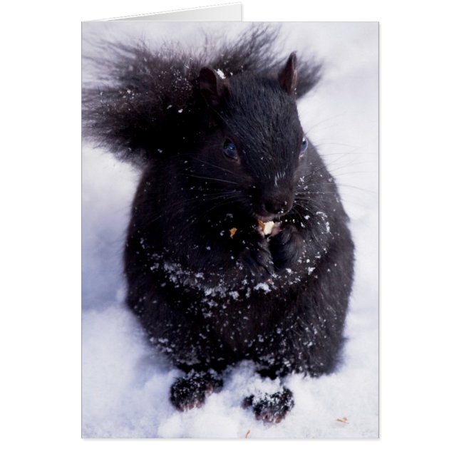 Cartão Preto E Branco (Frente)