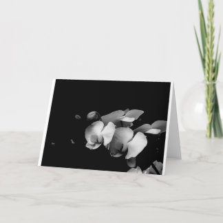 Cartão preto e branco do ramo da orquídea
