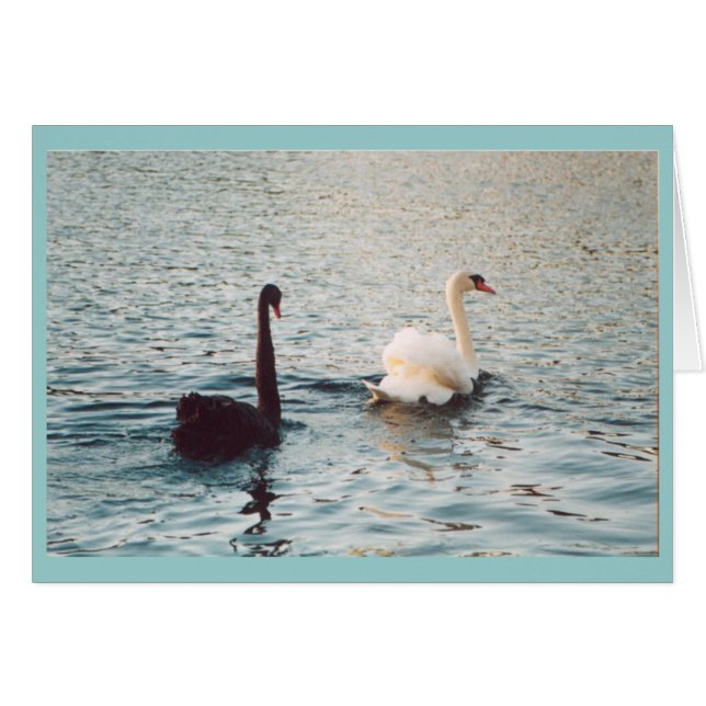 Cartão Preto e branco no Rideau (Frente Horizontal)