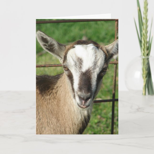 Cartão Pretty Billy Kid (Frente)