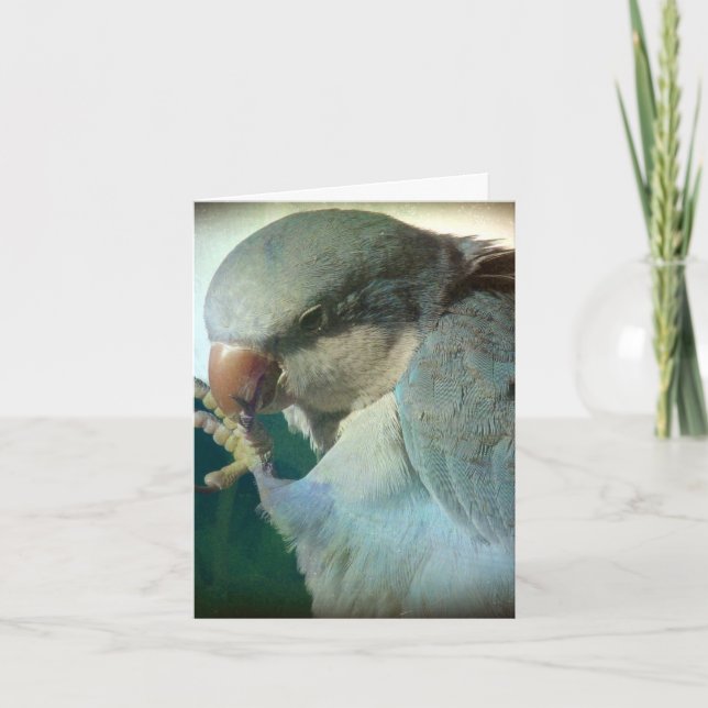 Cartão Pretty Bird, Birthday (Frente)