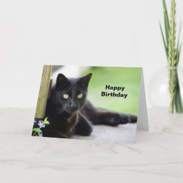 Cartão Pretty Black Cat Photo Birthday