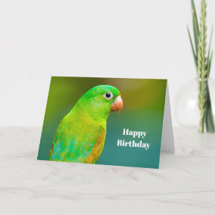 Cartão Pretty Green Parrot Photo Birthday