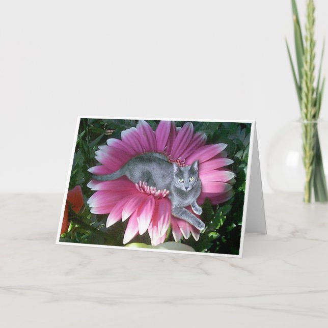 Cartão Pretty In Pink (Frente)