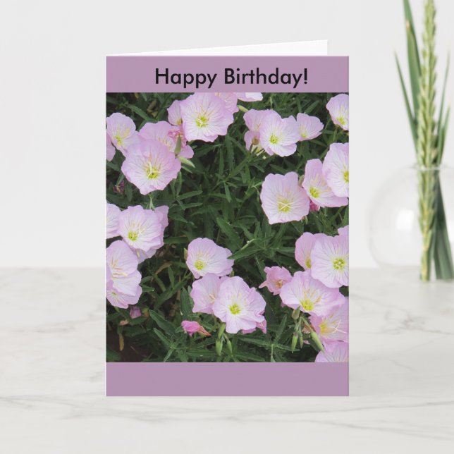 Cartão "Pretty in Pink" Birthday Card (Frente)