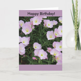 Cartão "Pretty in Pink" Birthday Card