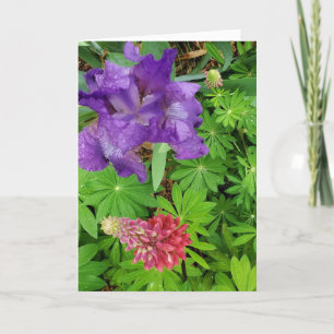 Cartão Pretty Iris and Lupine Floral Aunt Birthday