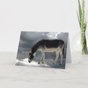 Cartão Pretty Little Burro Clouds Heaven - Pet Sympathy
