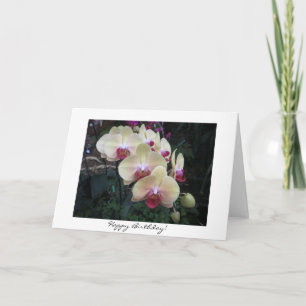Cartão Pretty Orchid Birthday Card