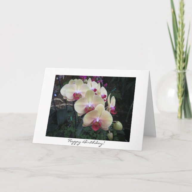 Cartão Pretty Orchid Birthday Card (Frente)