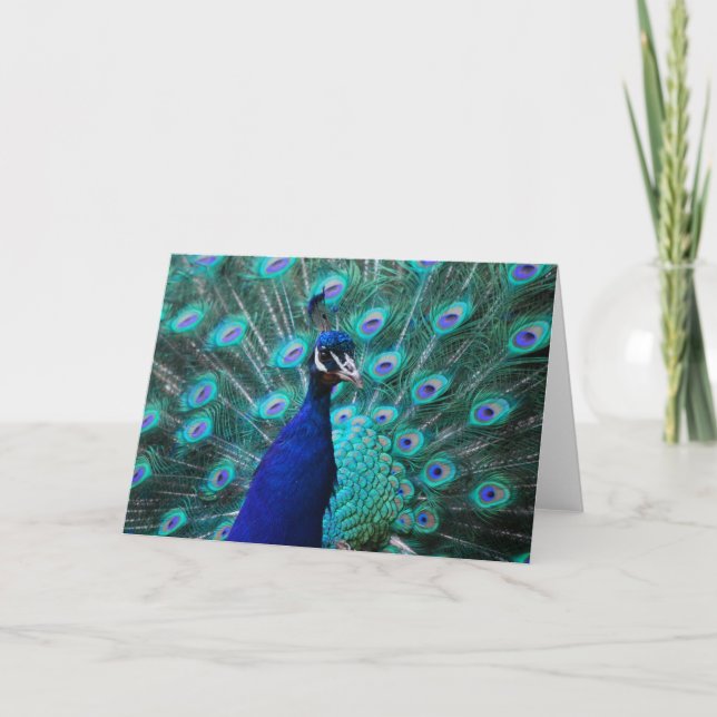 Cartão Pretty Peacock Greeting Card (Frente)