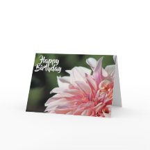 Pretty Summer Dahlia Greeting Card