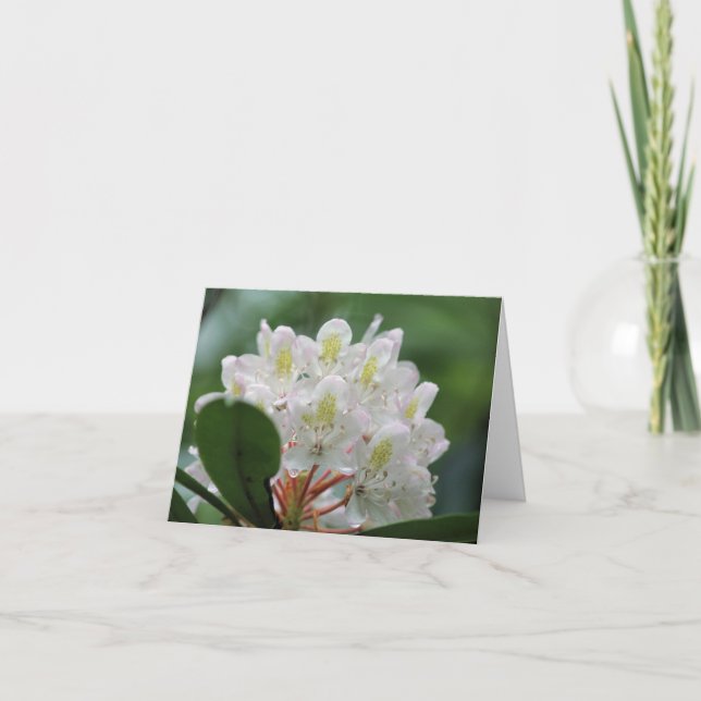 Cartão Pretty White Azalea Flower Photography Note (Frente)
