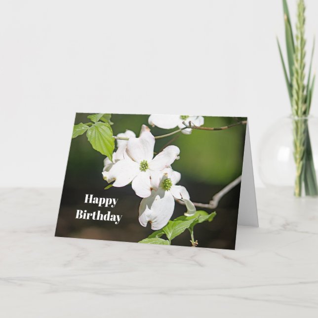 Cartão Pretty White Dogwoods Floral Photo Birthday (Frente)