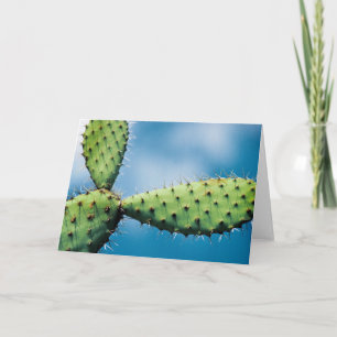 Cartão Prickley Cactus