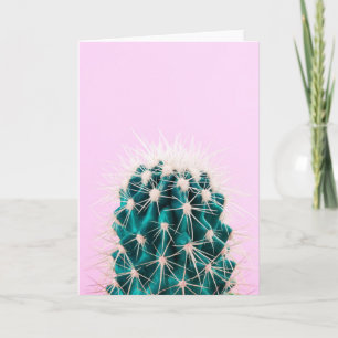 Cartão Prickley Cactus a Rosa