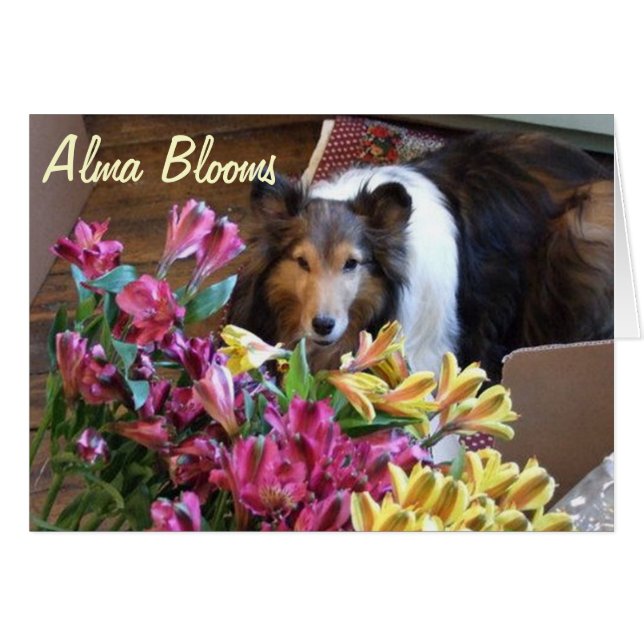 Cartão Primavera (Frente Horizontal)