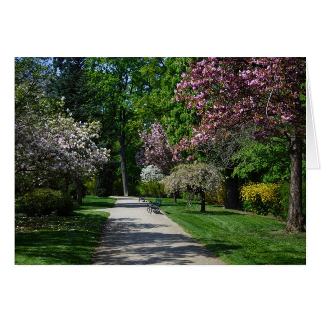 Cartão Primavera (Frente Horizontal)