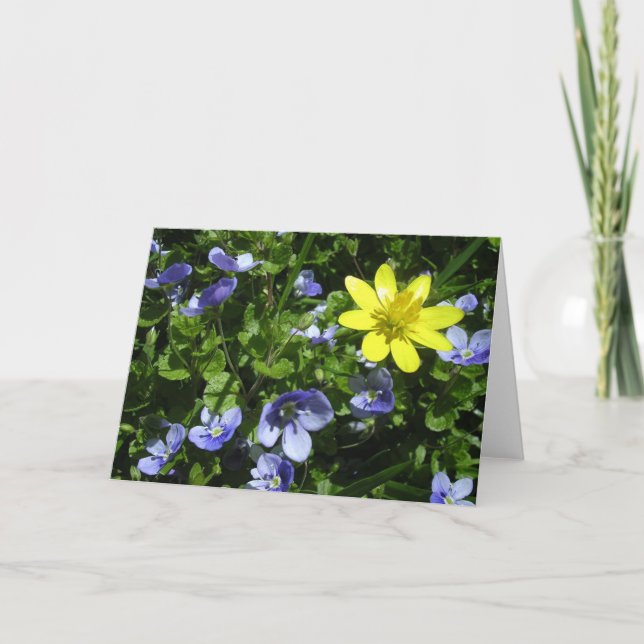 Cartão Primavera (Frente)