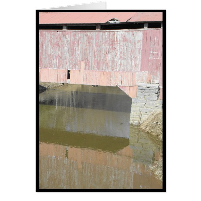 Cartão Primavera 44 (Frente)