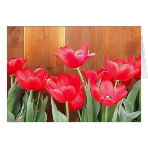 Cartão Primavera Blooms