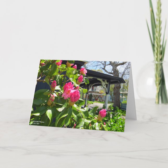 Cartão Primavera Blooms em Cottage City - Martha's Vineya (Frente)