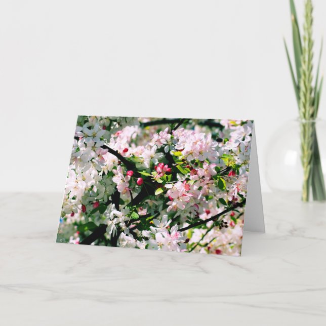 Cartão Primavera Blossomo (Frente)