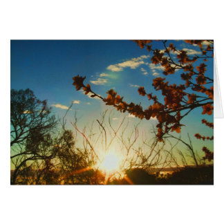 Cartão Primavera Blossomo Placa Sparkle Sunset