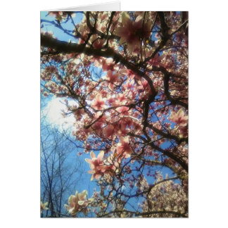 Cartão Primavera Blossoms Notecard