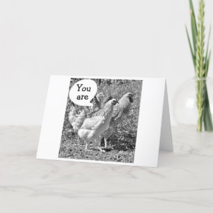 CARTÃO PRIMAVERA CHICKEN ATÉ AOS ANIVERSÁRIOS DE "40"