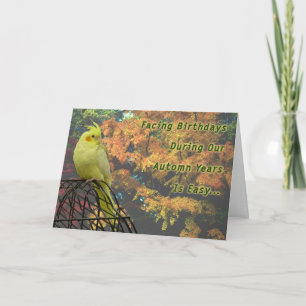 Cartão Primavera Chickens