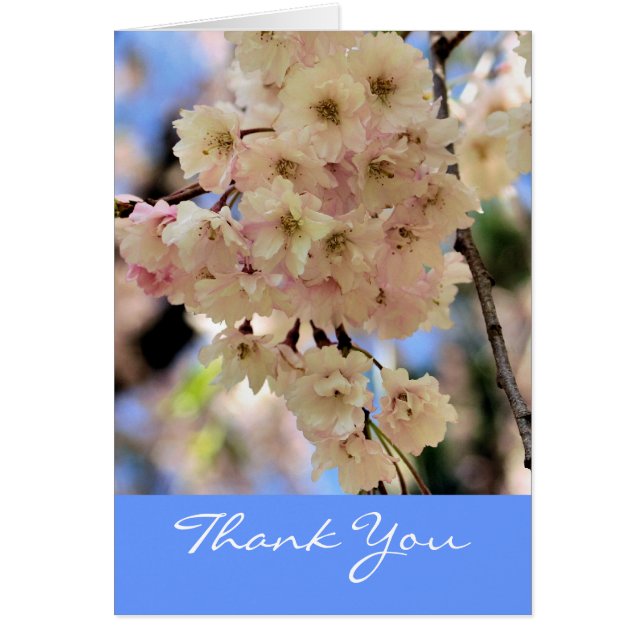 Cartão Primavera cor-de-rosa Flor Flor Obrigado (Frente)