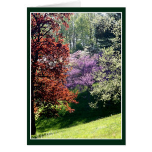 Cartão Primavera Cores