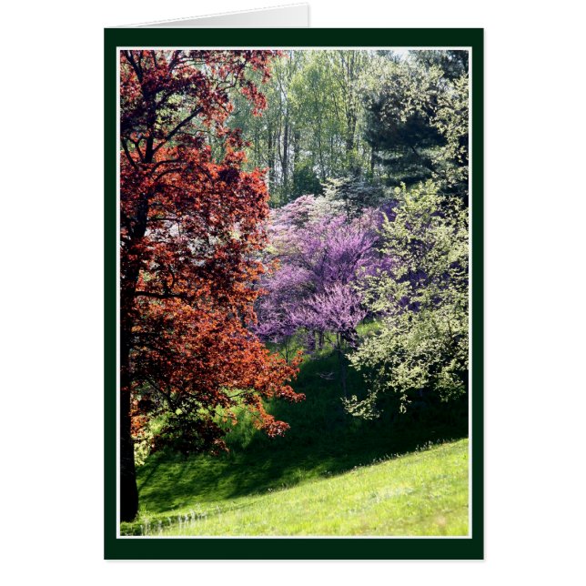 Cartão Primavera Cores (Frente)