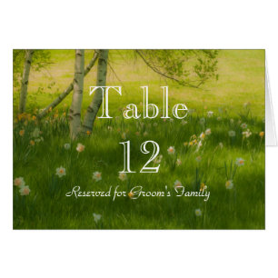 Cartão Primavera Daffodils