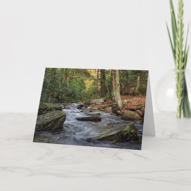 Cartão Primavera de Areia, Hickory Run State Park (Frente)