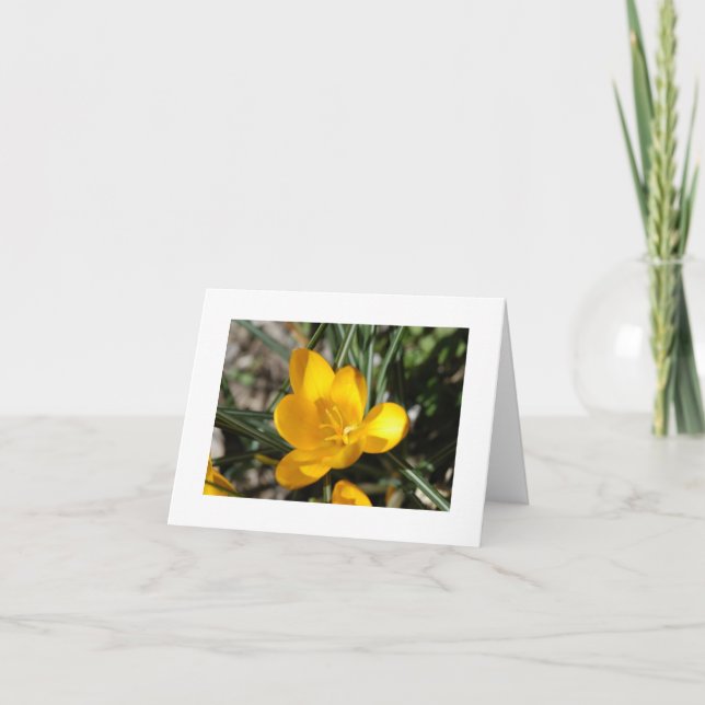 Cartão Primavera de boas-vindas (Frente)