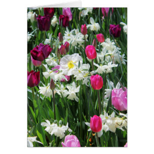 Cartão Primavera de manhã romântica