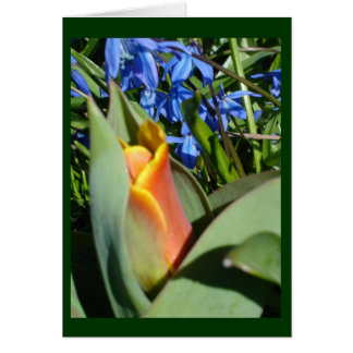 Cartão primavera despertando