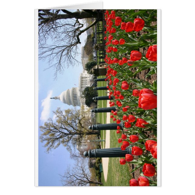 Cartão PRIMAVERA do Capitólio dos EUA (Frente)