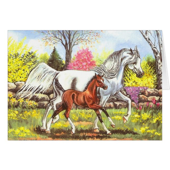 Cartão Primavera, égua árabe e potro (Frente Horizontal)