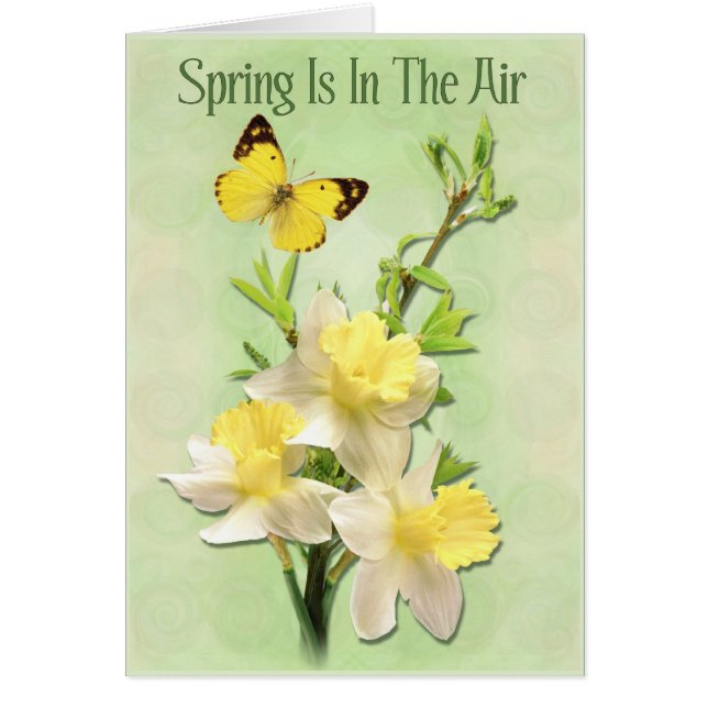 Cartão Primavera Está No Ar (Frente)