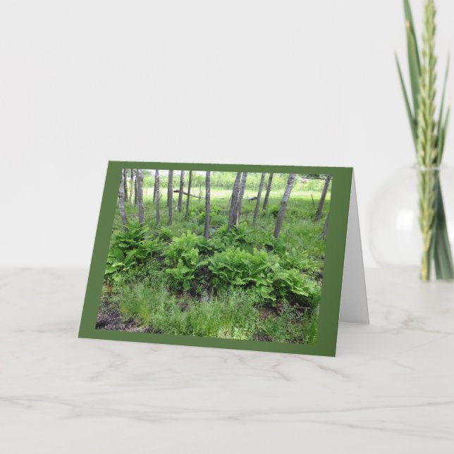 Cartão Primavera Ferns Na Placa De Nota Do Vazio De Wisco (Frente)