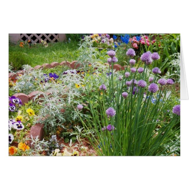 Cartão Primavera Garden (Frente Horizontal)